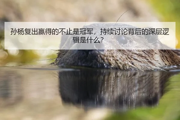 孙杨复出赢得的不止是冠军，持续讨论背后的深层逻辑是什么？